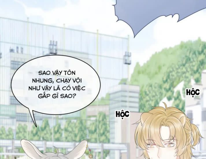 Một Ngụm Ăn Thỏ Chap 43 - Next Chap 44