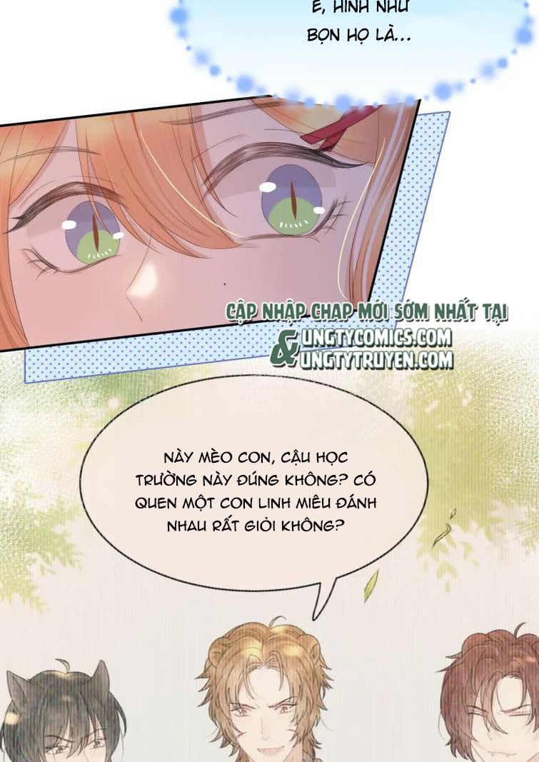 Một Ngụm Ăn Thỏ Chap 55 - Next Chap 56