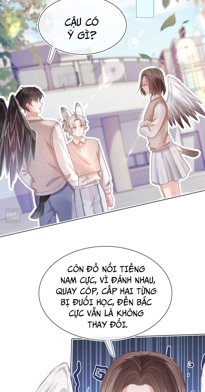 Một Ngụm Ăn Thỏ Phần 2: Chap 37 - Next Phần 2: Chap 36