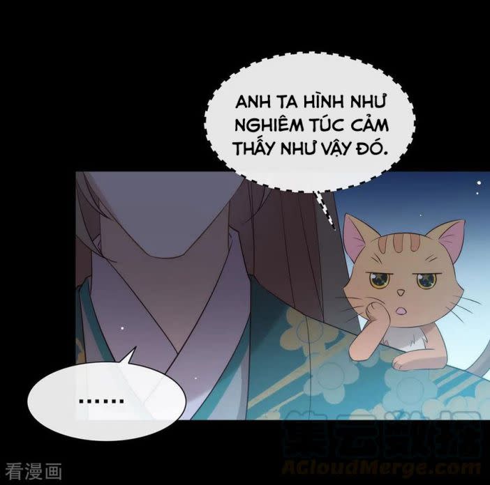 Tôi Cùng Nữ Chủ Mary Sue Tranh Giành Bạn Trai Chap 143 - Next Chap 144