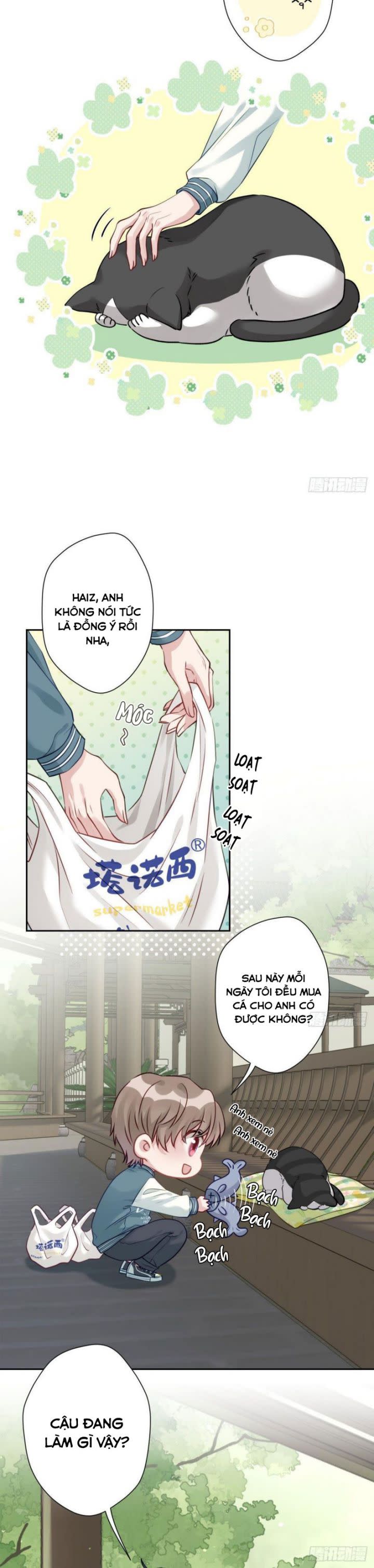 Mèo Con Đừng Liếm Tôi Chap 11 - Next Chap 12