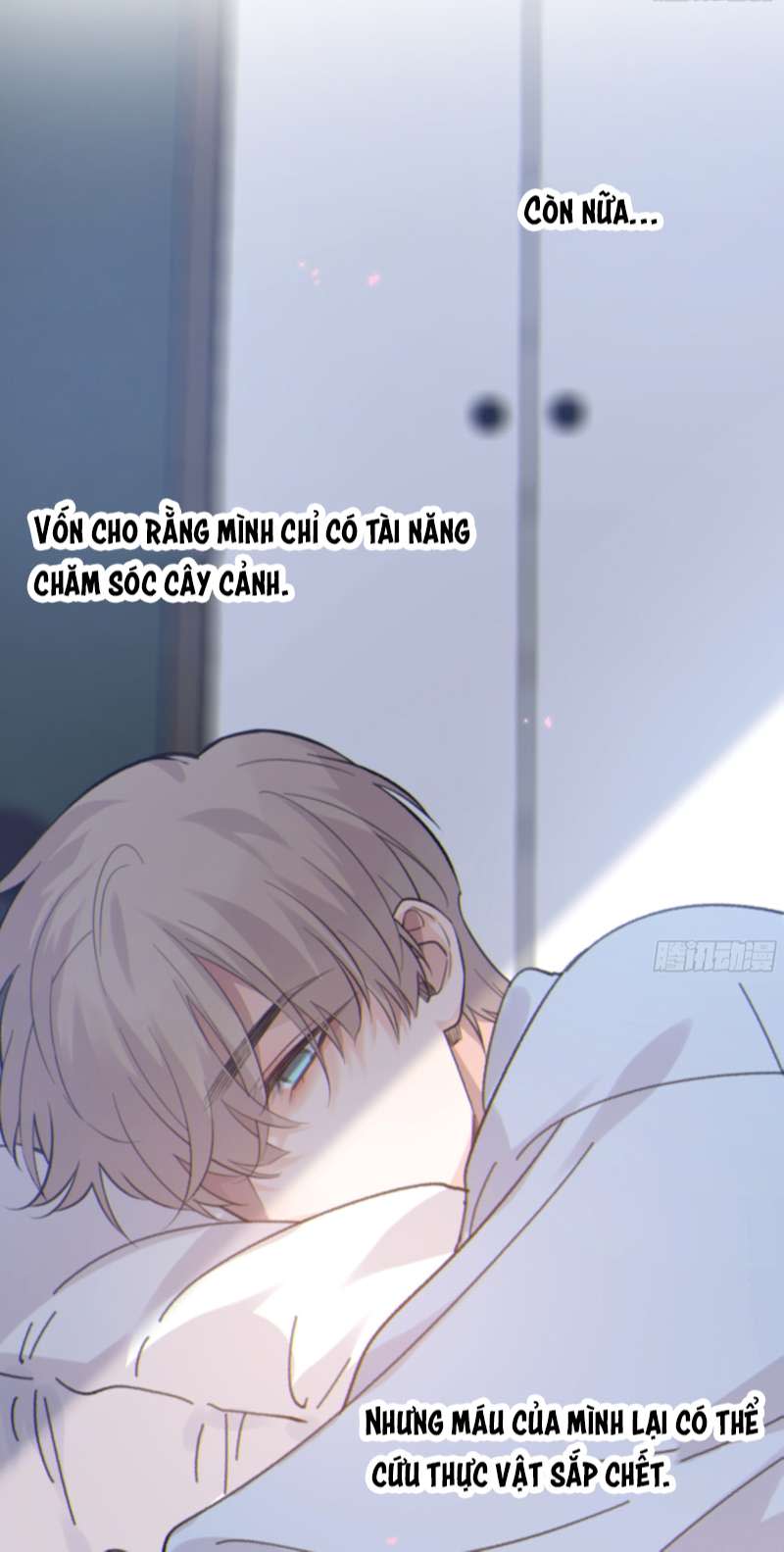 Khi Người Ngủ Say Chap 34 - Next Chap 35