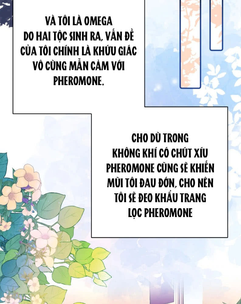 Không Ngửi Được Tin Tức Tố Của Anh Chap 1 - Next 