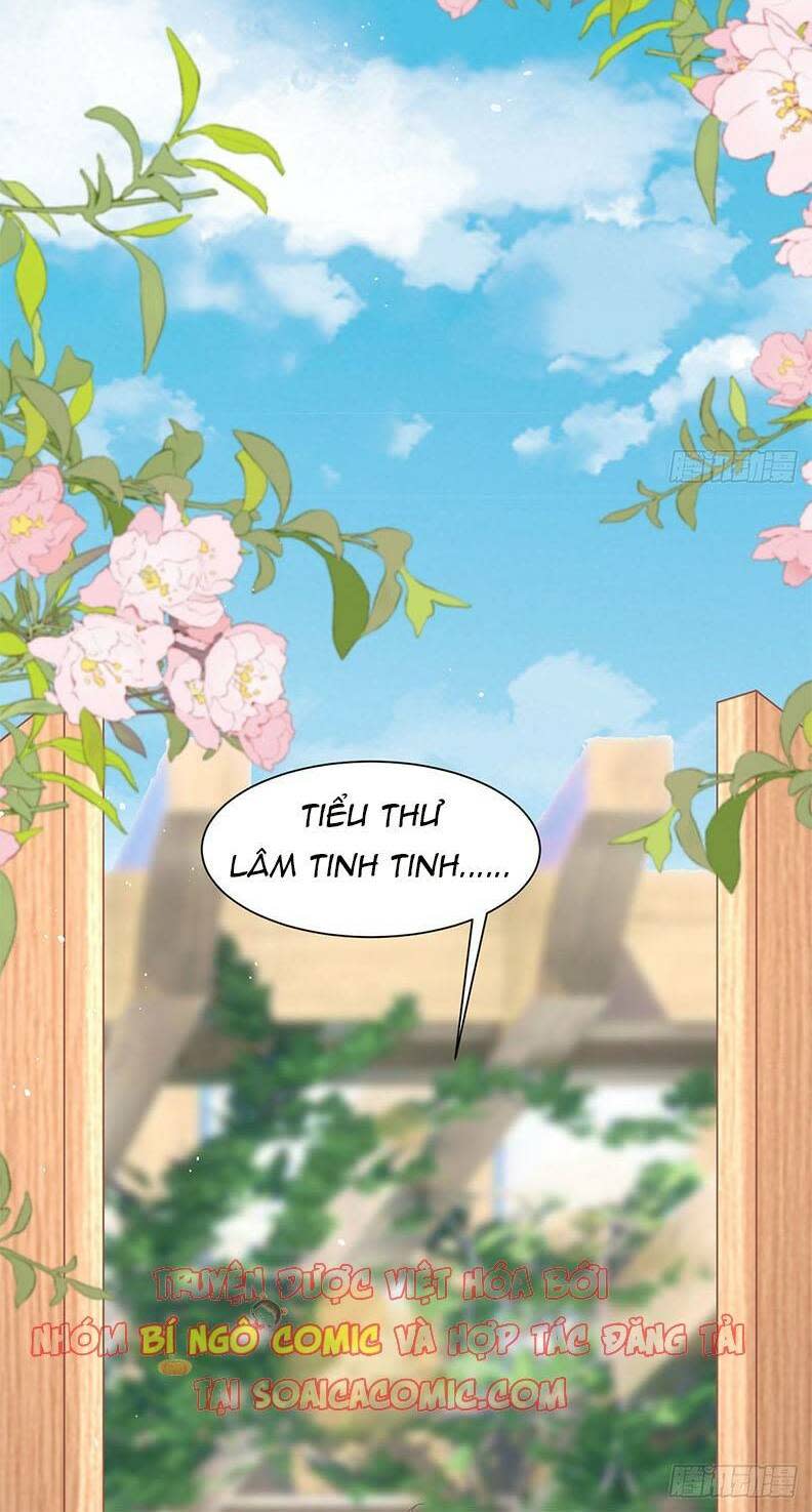 thiên kim đẳng cấp của ác ma chapter 13 - Next chapter 14