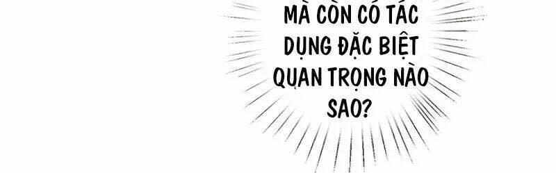 quy luật tình yêu ở mạt thế Chapter 93 - Trang 2