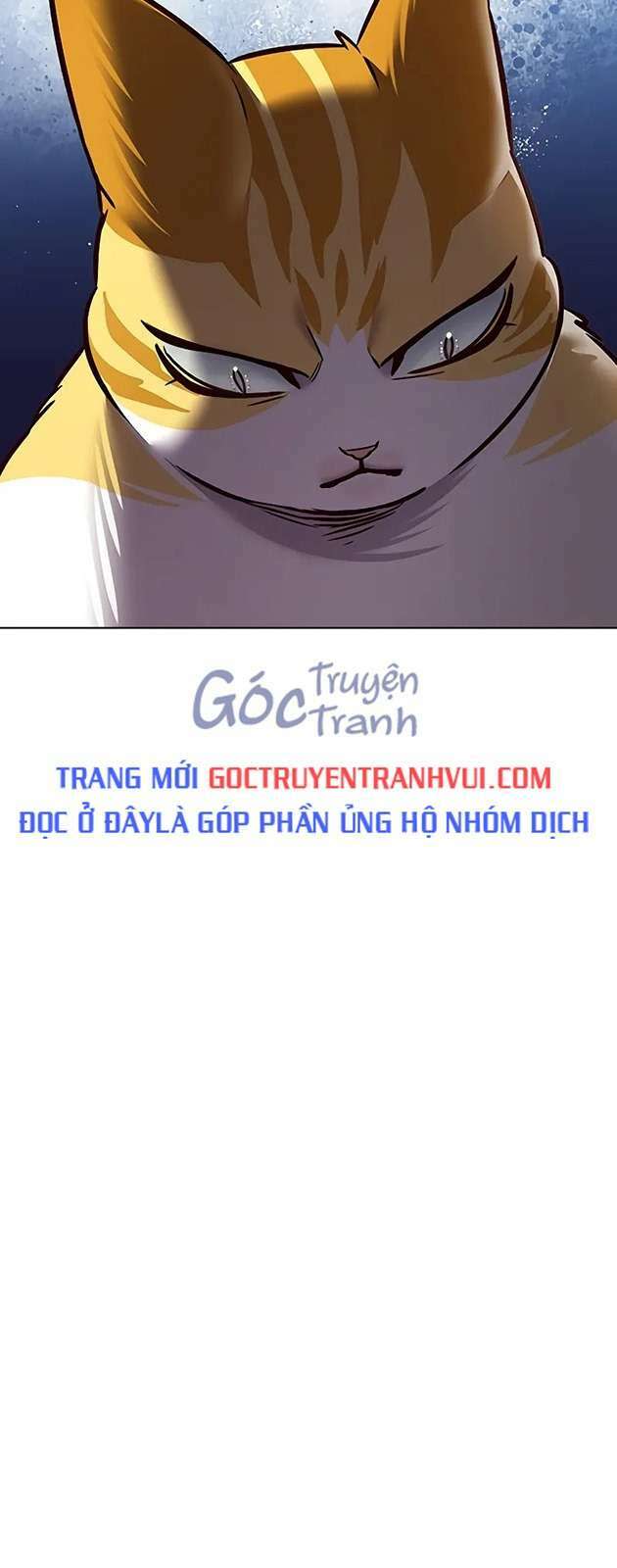 biến thân thành mèo chapter 270 - Trang 2