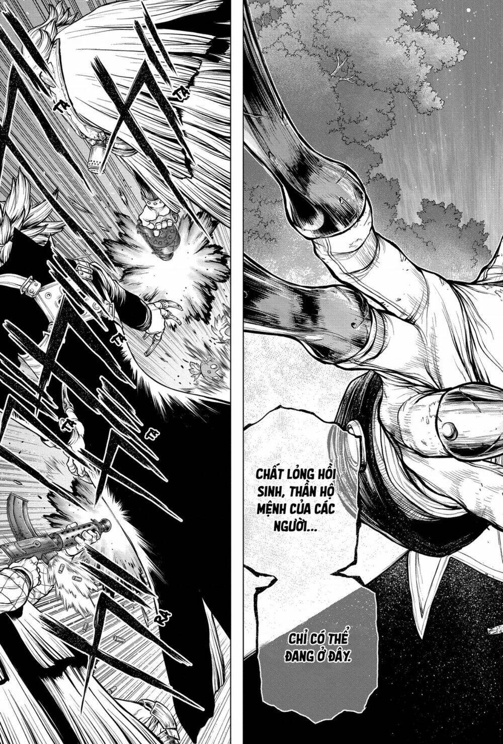 dr.stone - hồi sinh thế giới chapter 192 - Trang 2