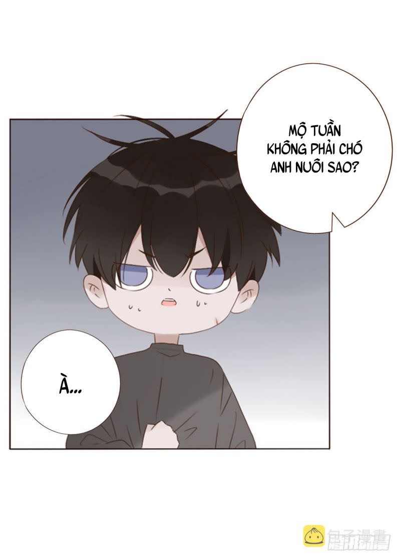 Ôm Chặt Vào Lòng Chap 51 - Next Chap 52