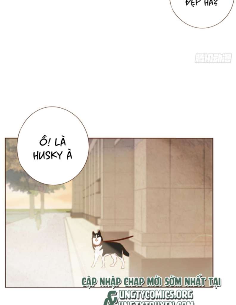 Ôm Chặt Vào Lòng Chap 65 - Next Chap 66