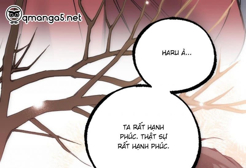 những chú thỏ của hapypy Chapter 64.5 - Trang 2