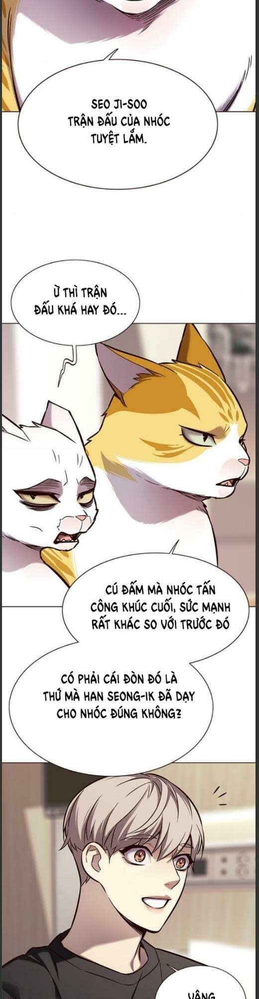 biến thân thành mèo chapter 160 - Trang 2