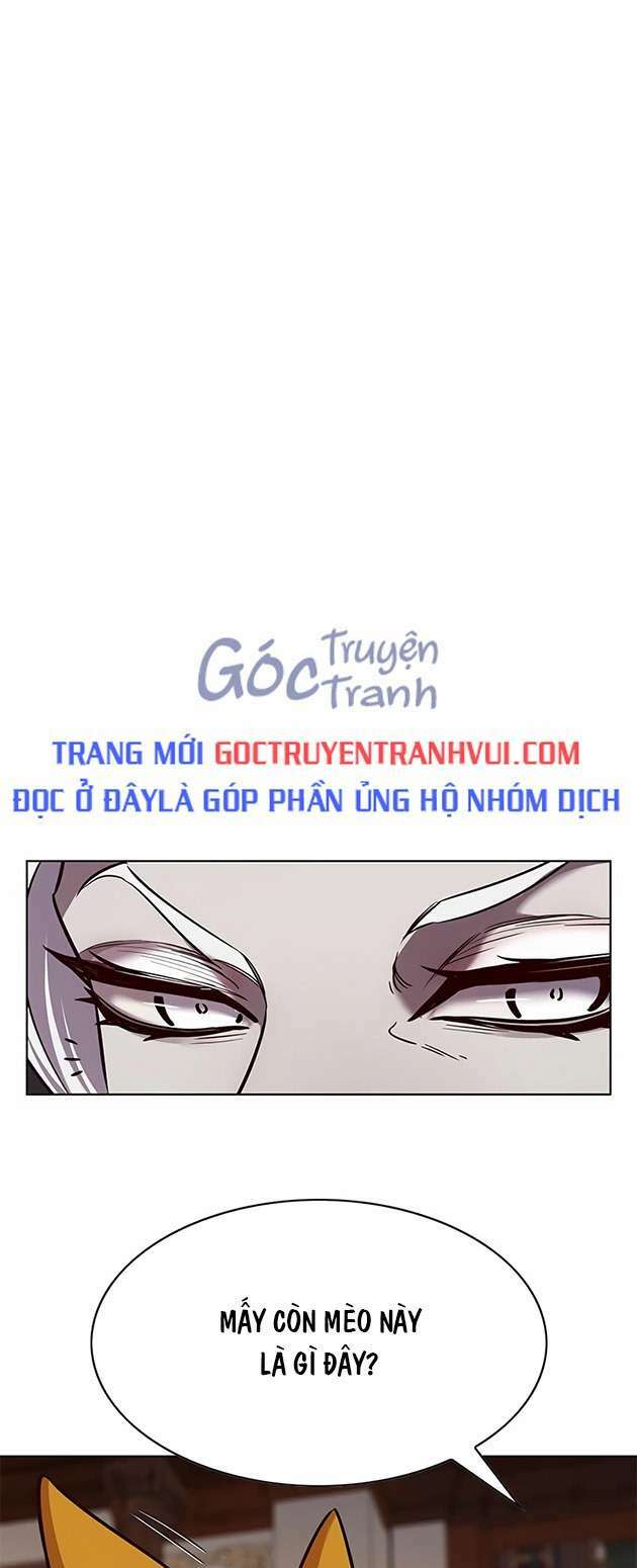 biến thân thành mèo chapter 246 - Trang 2