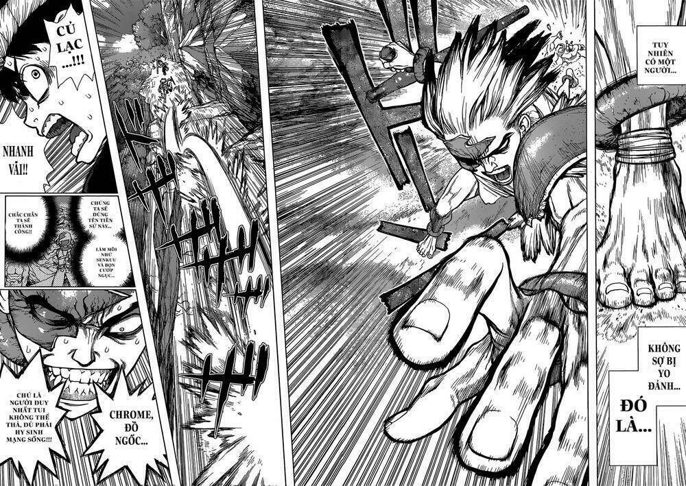 dr.stone - hồi sinh thế giới chapter 72: Điểm kinh nghiệm - Trang 2