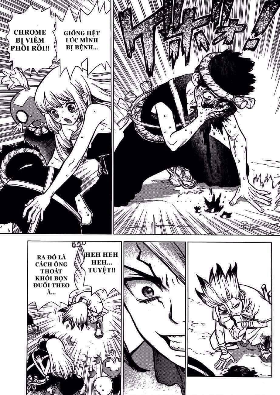 dr.stone - hồi sinh thế giới chapter 72: Điểm kinh nghiệm - Trang 2