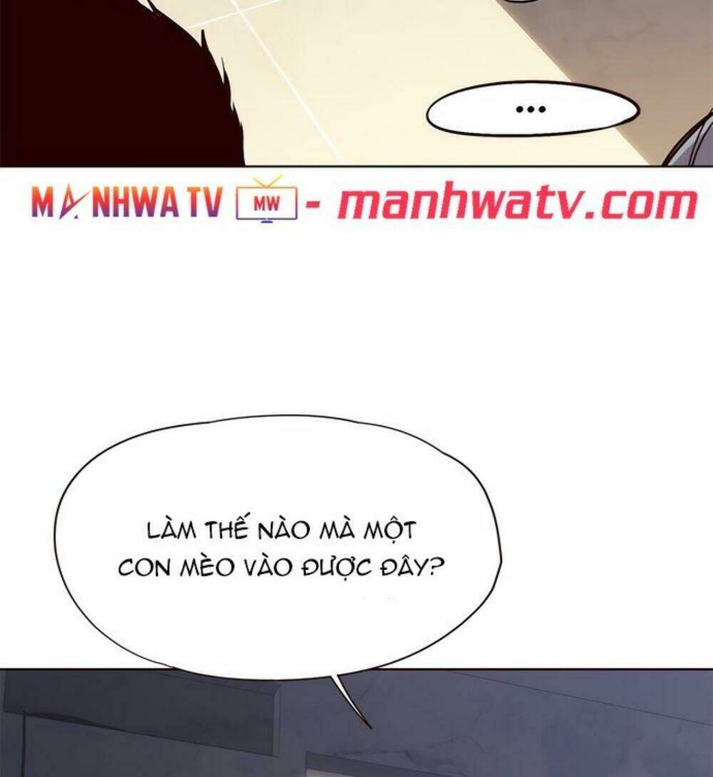 biến thân thành mèo chapter 19 - Trang 2