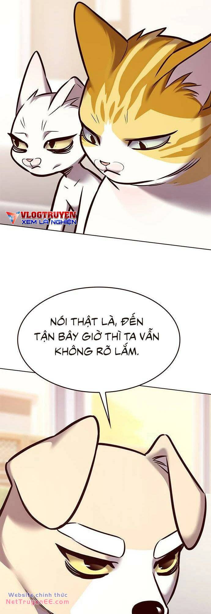 biến thân thành mèo Chapter 285 - Trang 2