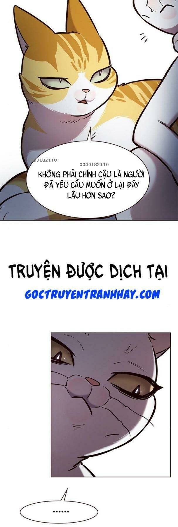 biến thân thành mèo chapter 190 - Trang 2