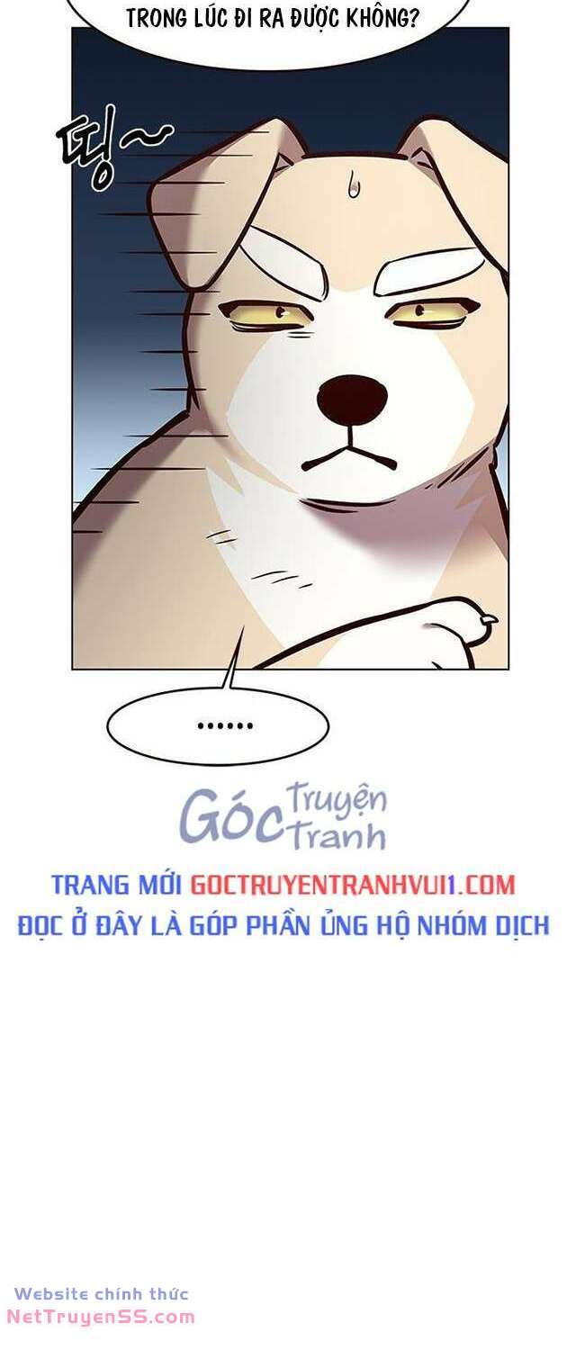 biến thân thành mèo Chapter 283 - Trang 2