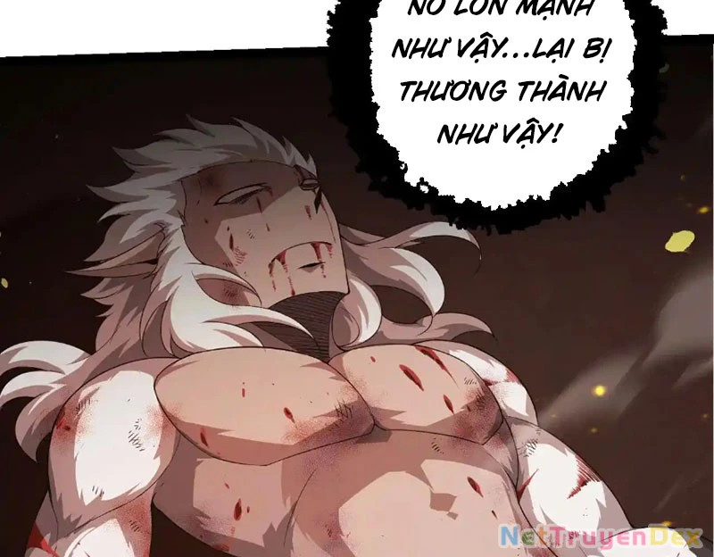 chuyển sinh thành liễu đột biến Chapter 318 - Trang 2