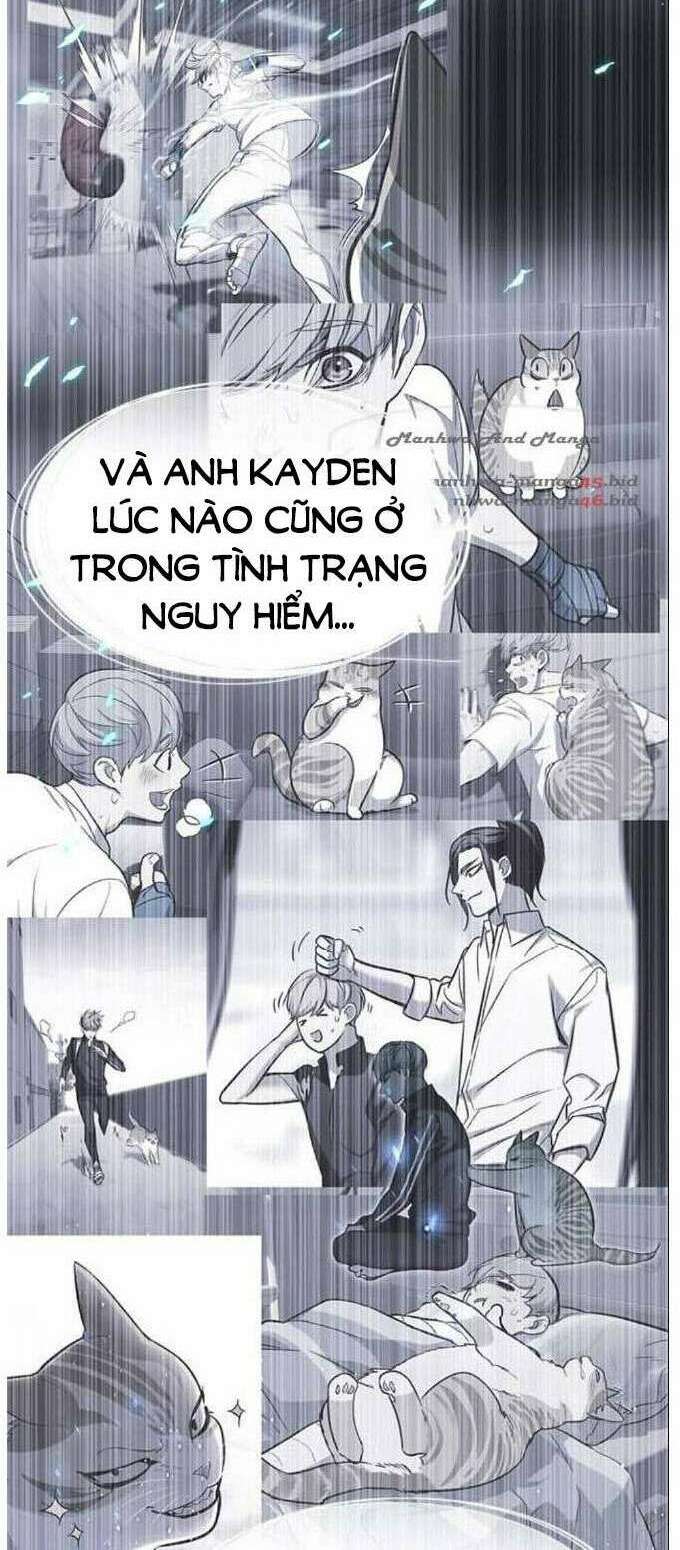 biến thân thành mèo chapter 137 - Trang 2