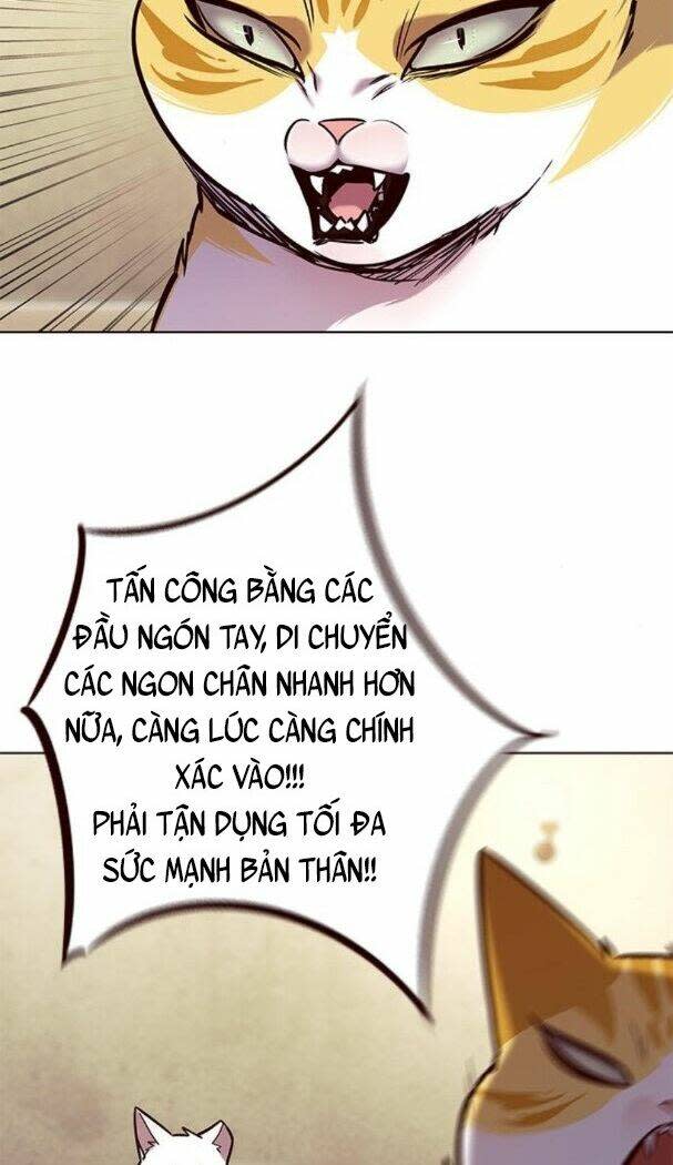 biến thân thành mèo chapter 174 - Trang 2