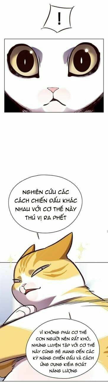 biến thân thành mèo chapter 144 - Trang 2