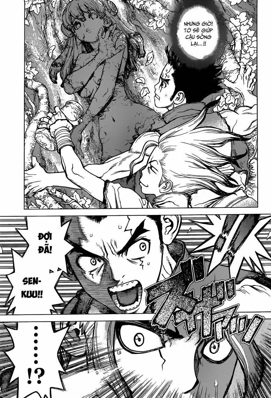 dr.stone - hồi sinh thế giới chapter 3 - Trang 2