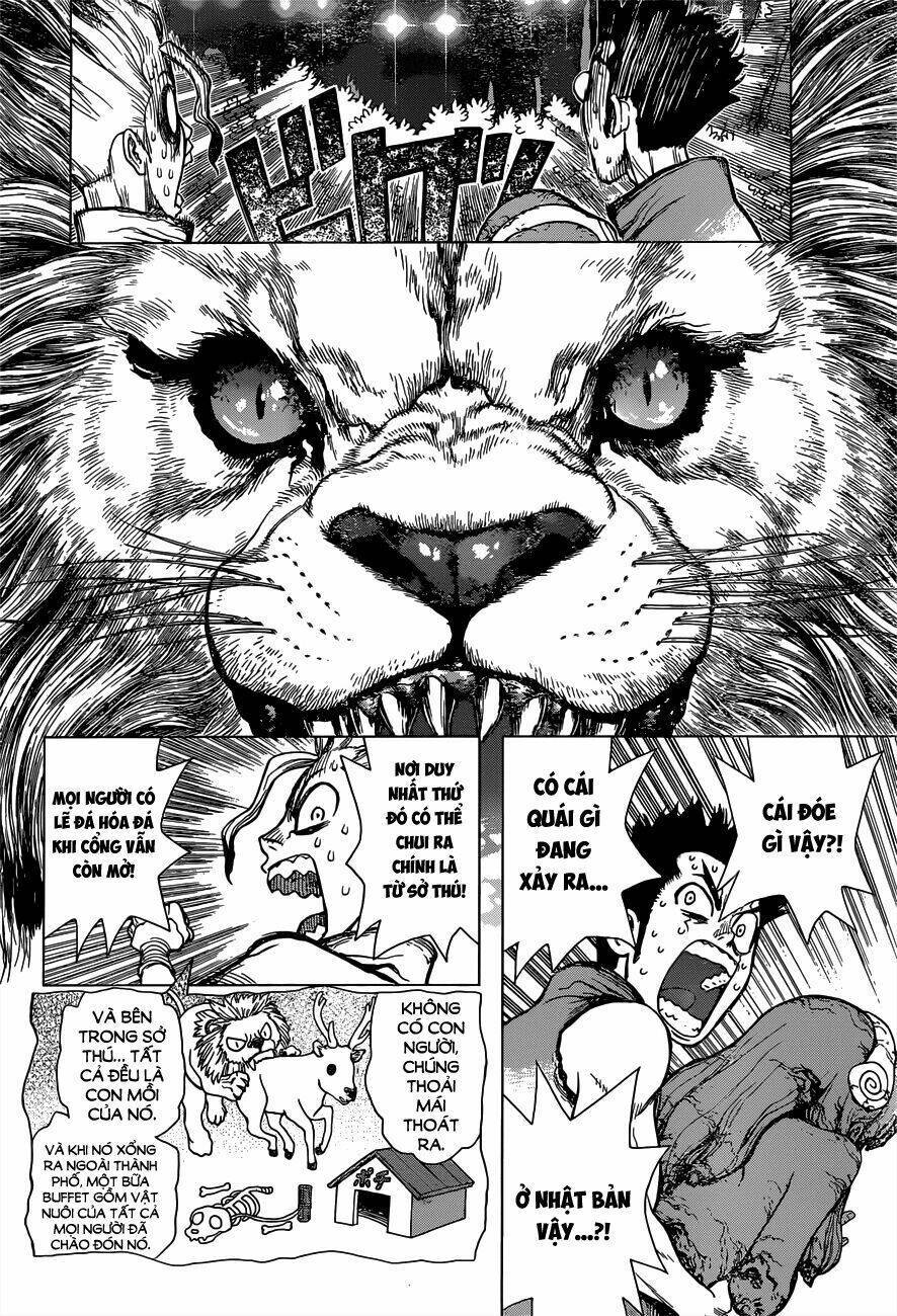 dr.stone - hồi sinh thế giới chapter 3 - Trang 2