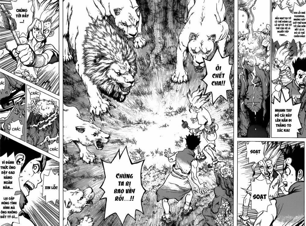 dr.stone - hồi sinh thế giới chapter 3 - Trang 2