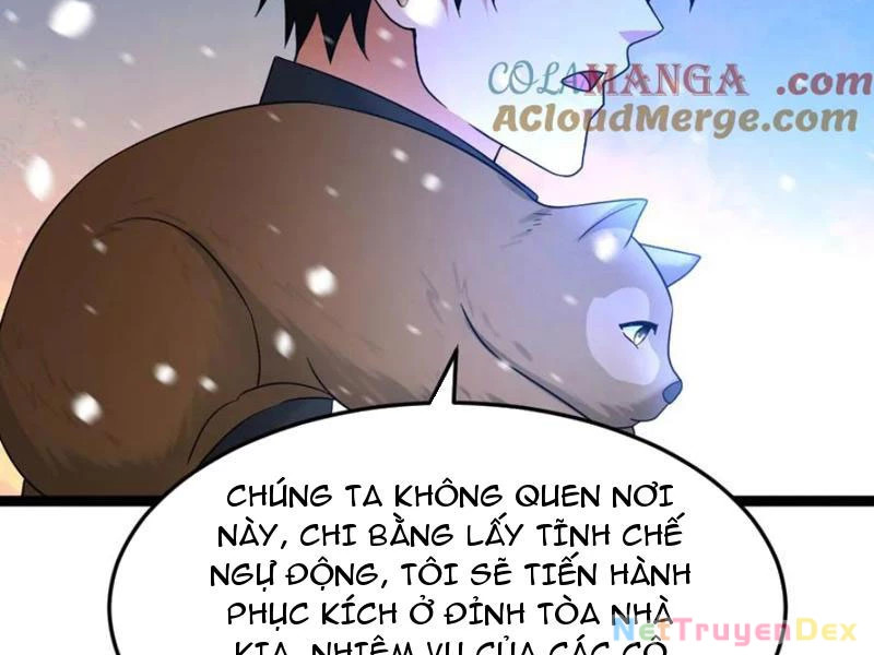 Toàn Cầu Băng Phong: Ta Chế Tạo Phòng An Toàn Tại Tận Thế Chapter 555 - Trang 2