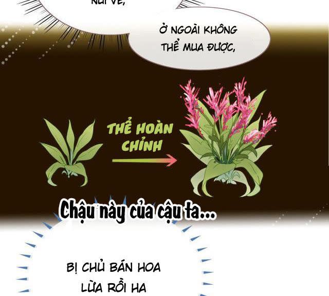 Hoa Lạc Thành Lao Chapter 3 - Next Chapter 4