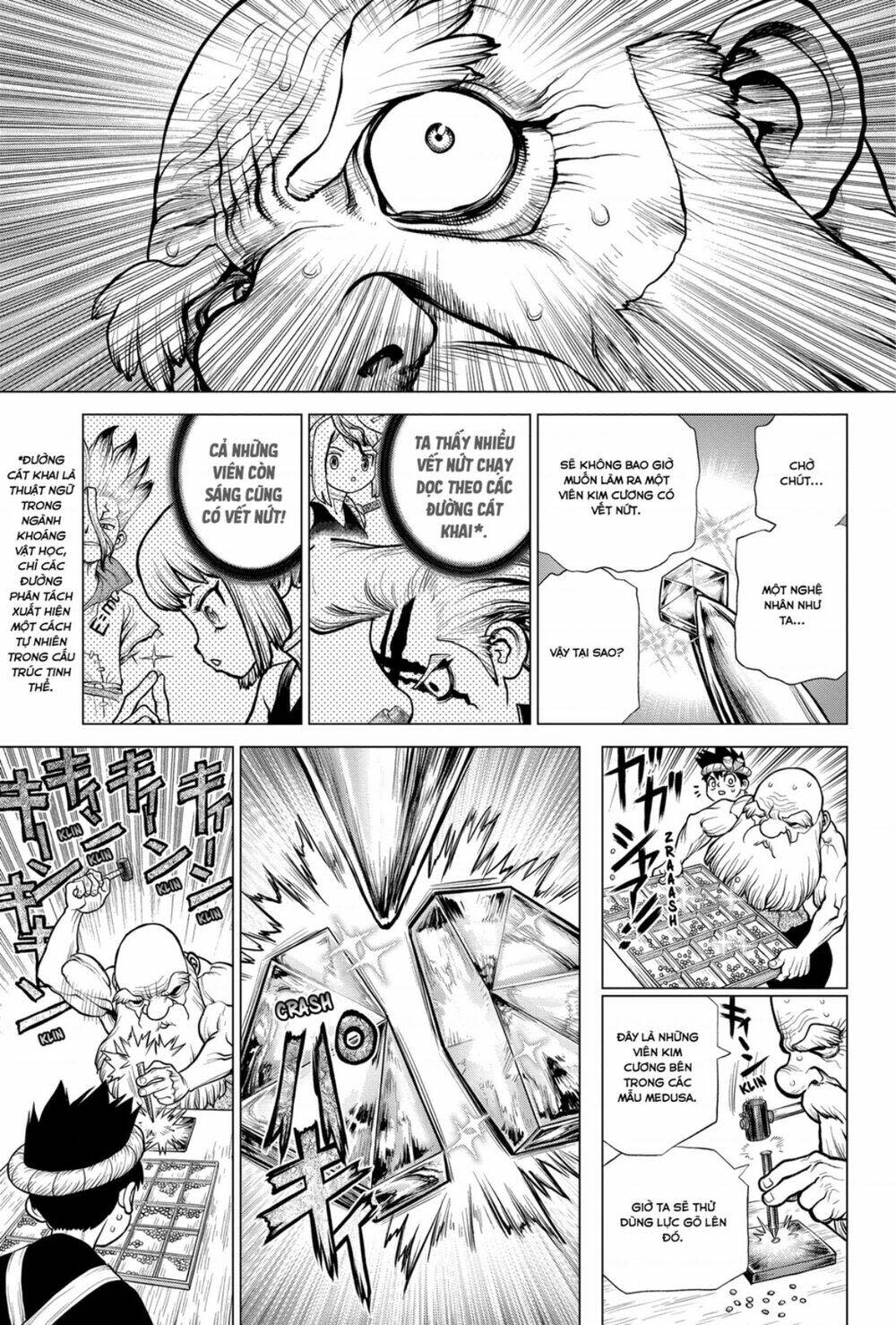 dr.stone - hồi sinh thế giới chapter 185 - Trang 2