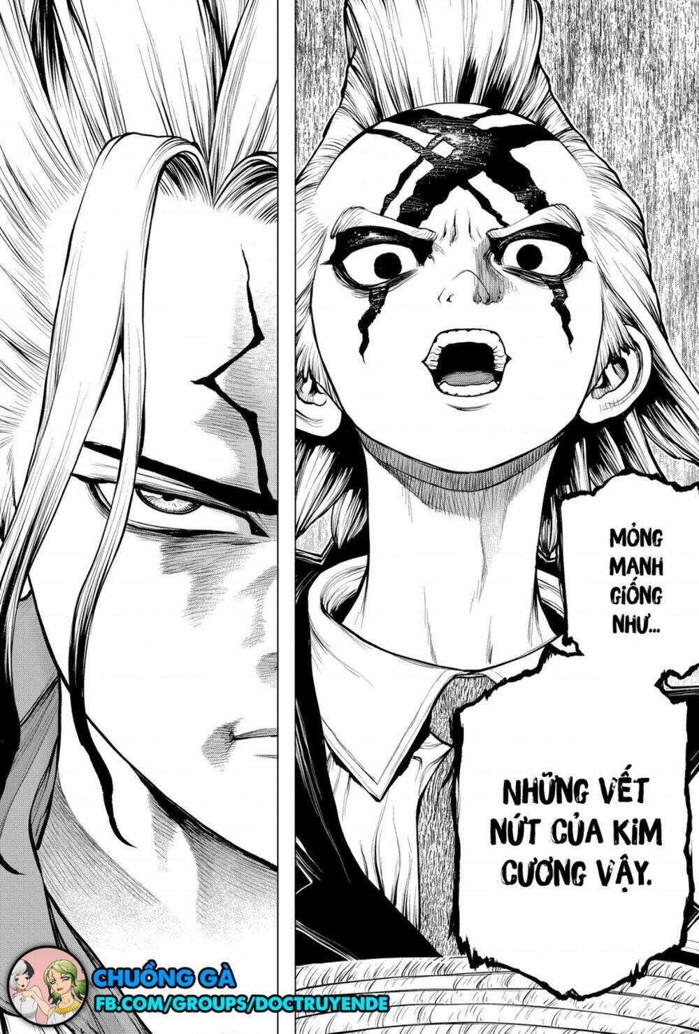 dr.stone - hồi sinh thế giới chapter 185 - Trang 2