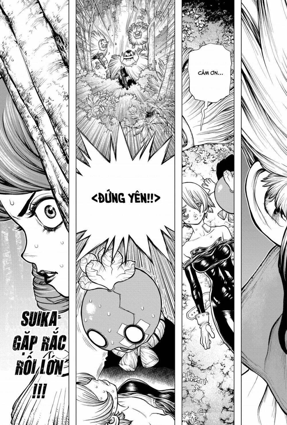 dr.stone - hồi sinh thế giới chapter 185 - Trang 2