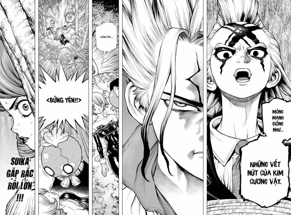 dr.stone - hồi sinh thế giới chapter 185 - Trang 2