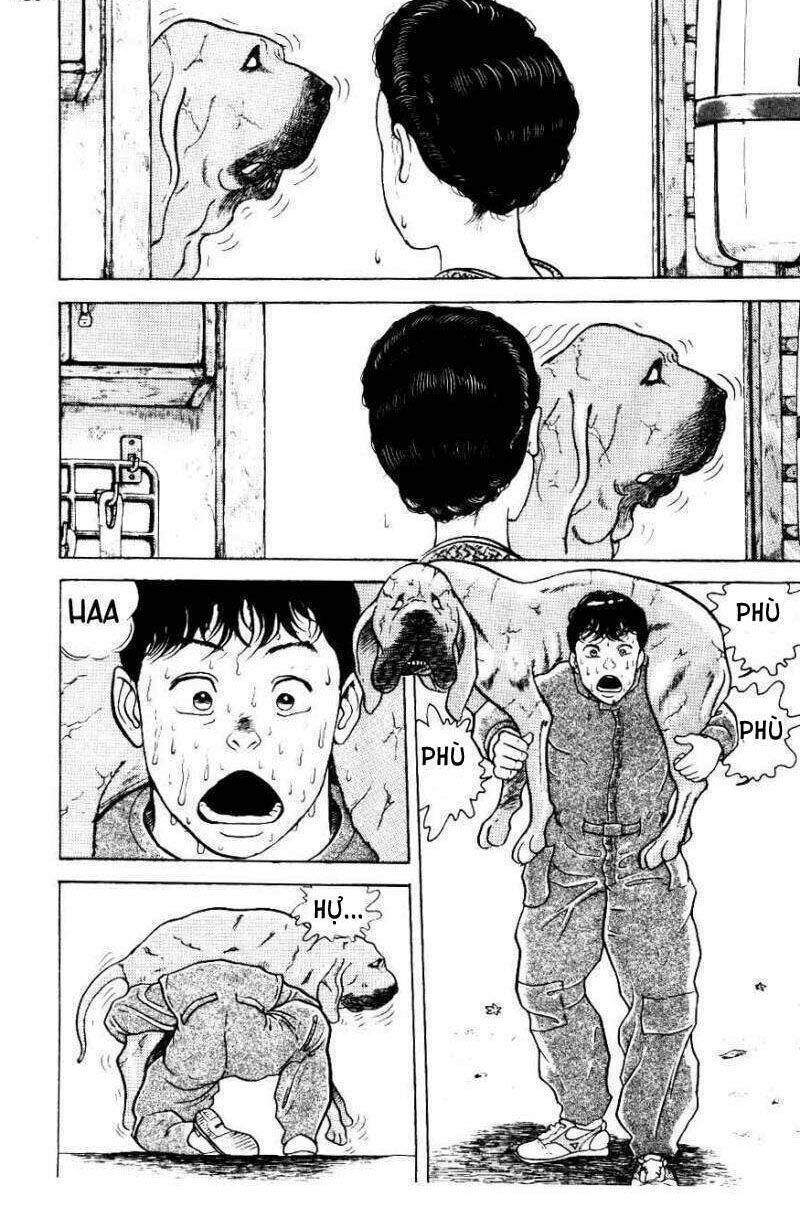 grappler baki chapter 12 - Next chapter 13