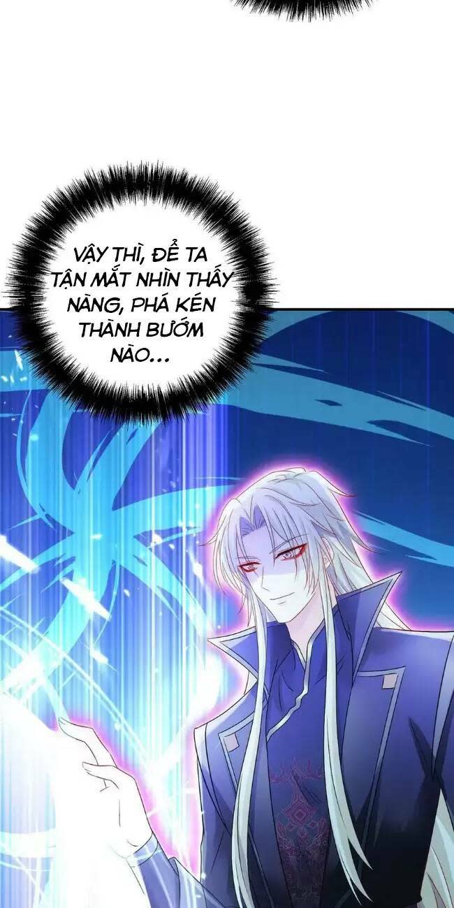 ta ở dị giới nuôi dưỡng nam thần: thần y cửu tiểu thư chapter 244 - Trang 2