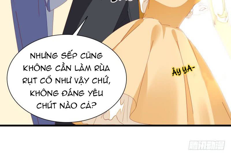 Tình Yêu Một Carat Chapter 8 - Next Chapter 9