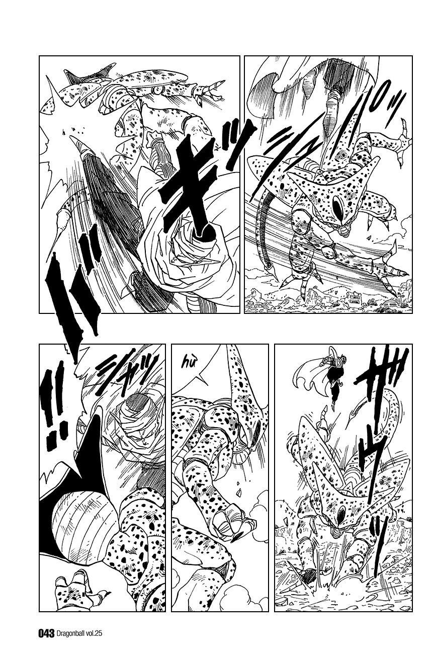 Dragon Ball - Bảy Viên Ngọc Rồng Chapter 362 - Next Chapter 363