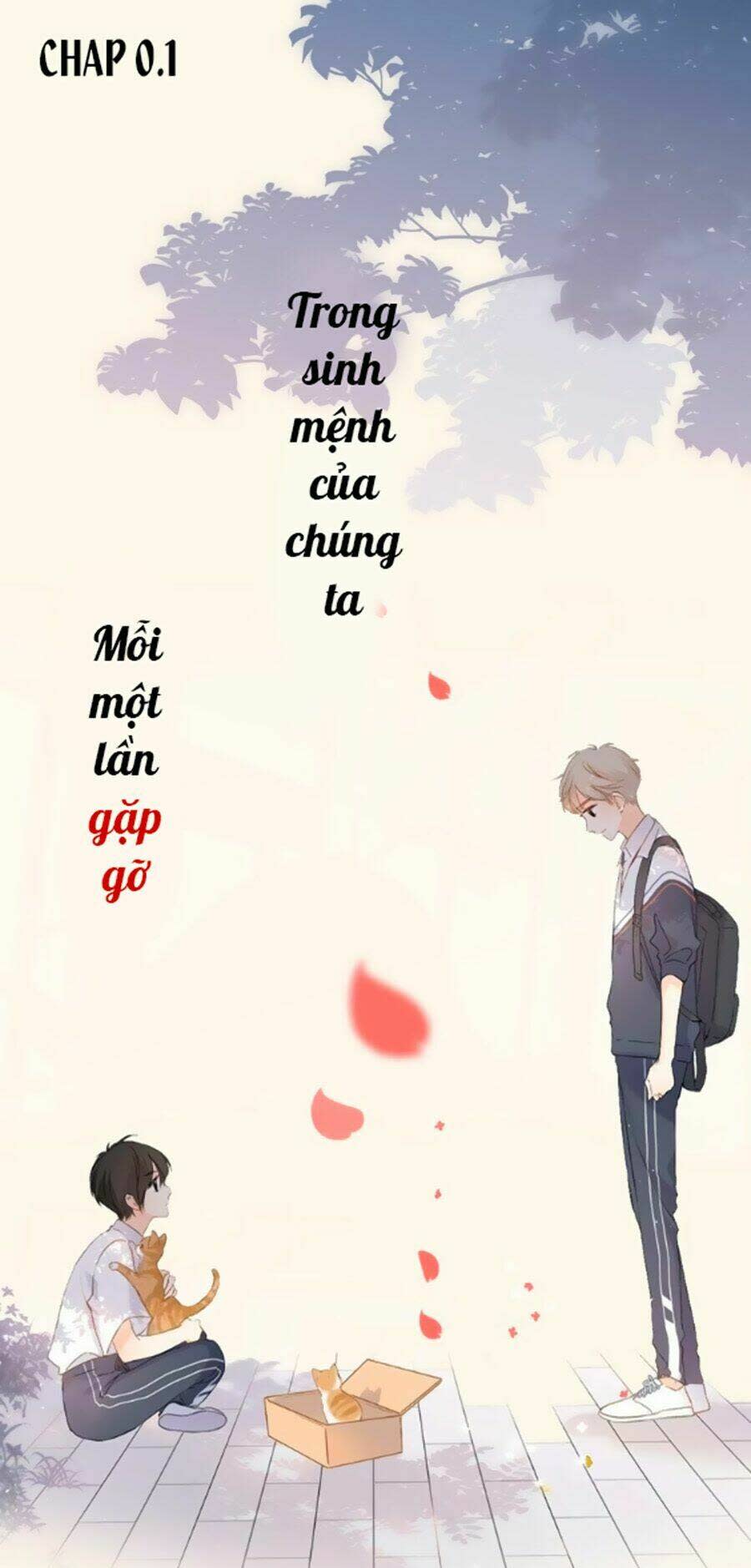 lại gặp được em chapter 0.2 - Next chapter 0.3