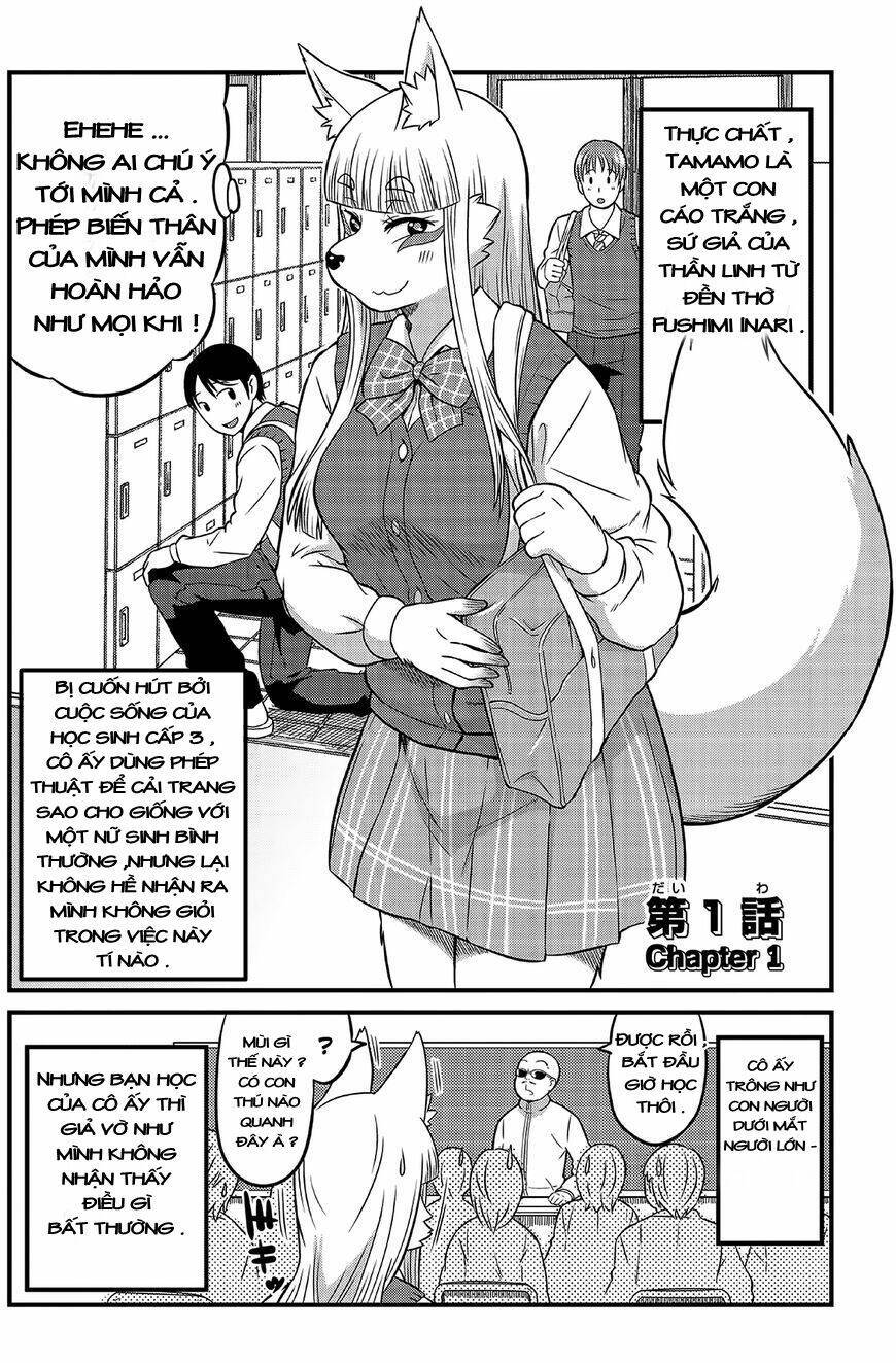 High school Inari Tamamo-chan ! Chapter 1 - Next Chapter 2