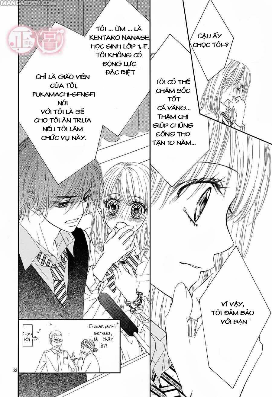 Awa-koi Chapter 2 - Trang 2