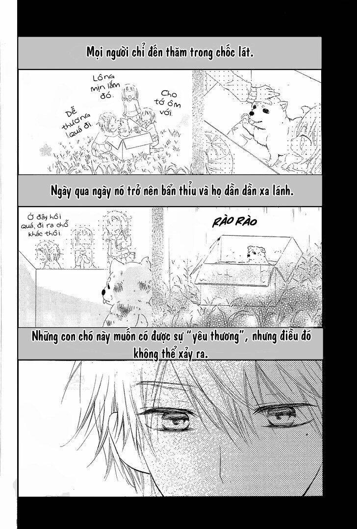 Suteinu Ni Honey Toast Chapter 3 - Trang 2