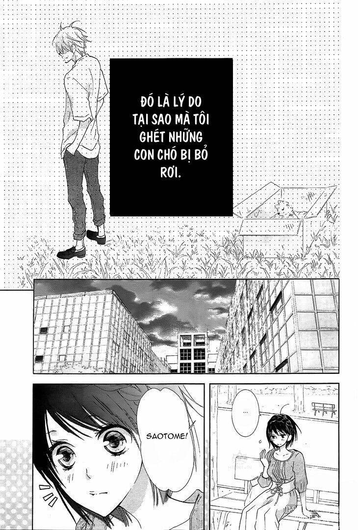 Suteinu Ni Honey Toast Chapter 3 - Trang 2