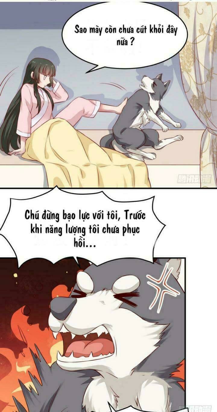 Công Chúa Là Nam Nhân Chapter 10 - Next Chapter 11