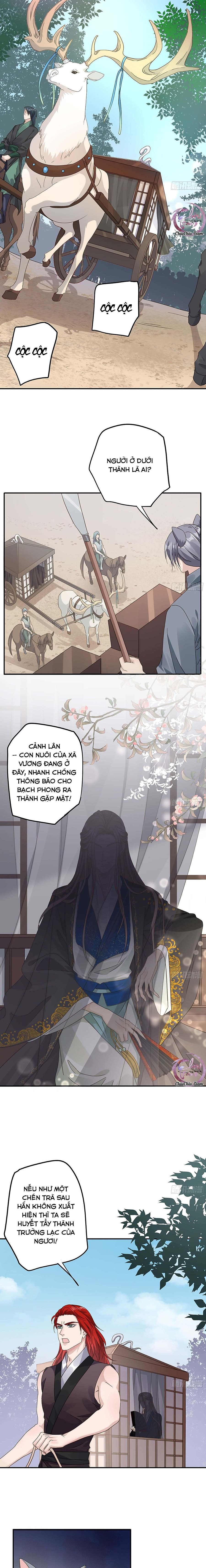 Lòng Quân Hiểm Ác Chapter 11 - Next Chapter 12