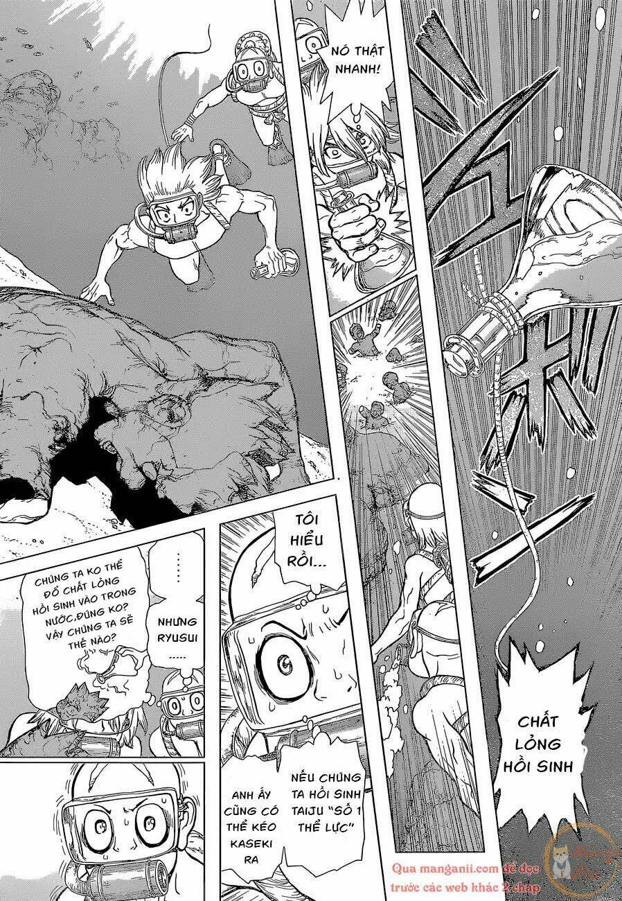 dr.stone - hồi sinh thế giới chapter 118 - Trang 2