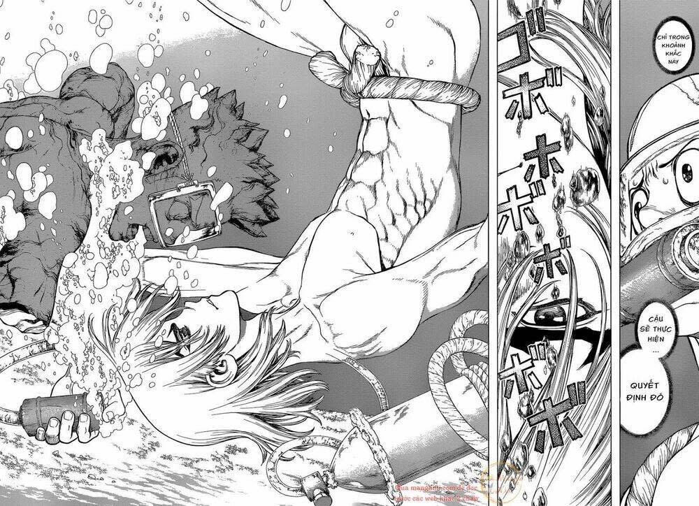 dr.stone - hồi sinh thế giới chapter 118 - Trang 2