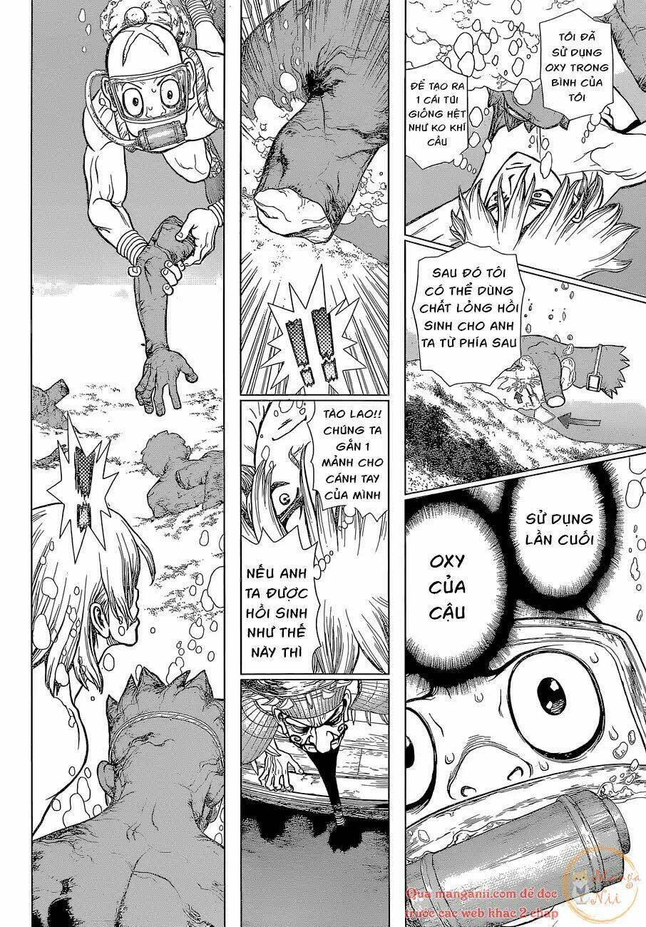 dr.stone - hồi sinh thế giới chapter 118 - Trang 2