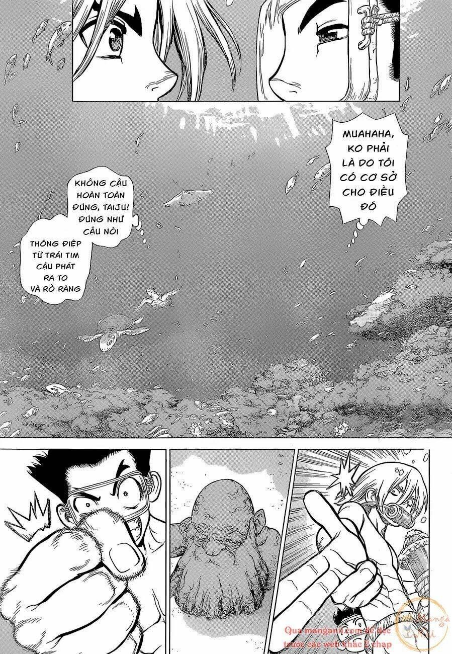 dr.stone - hồi sinh thế giới chapter 118 - Trang 2